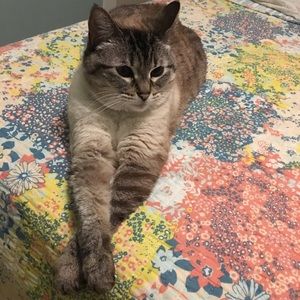 Meet your Posher, Joan